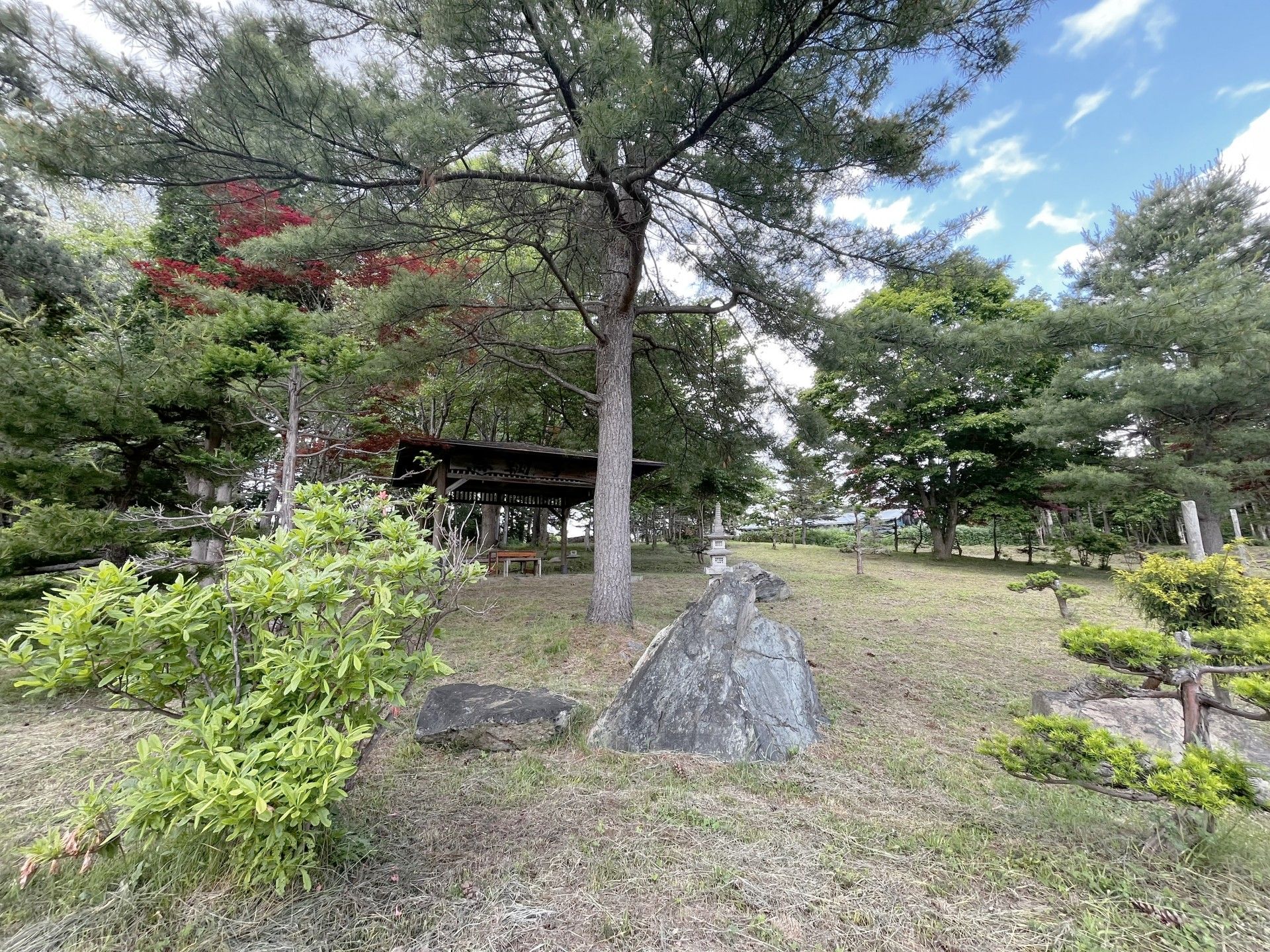 緑豊かな庭園