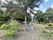緑豊かな庭園