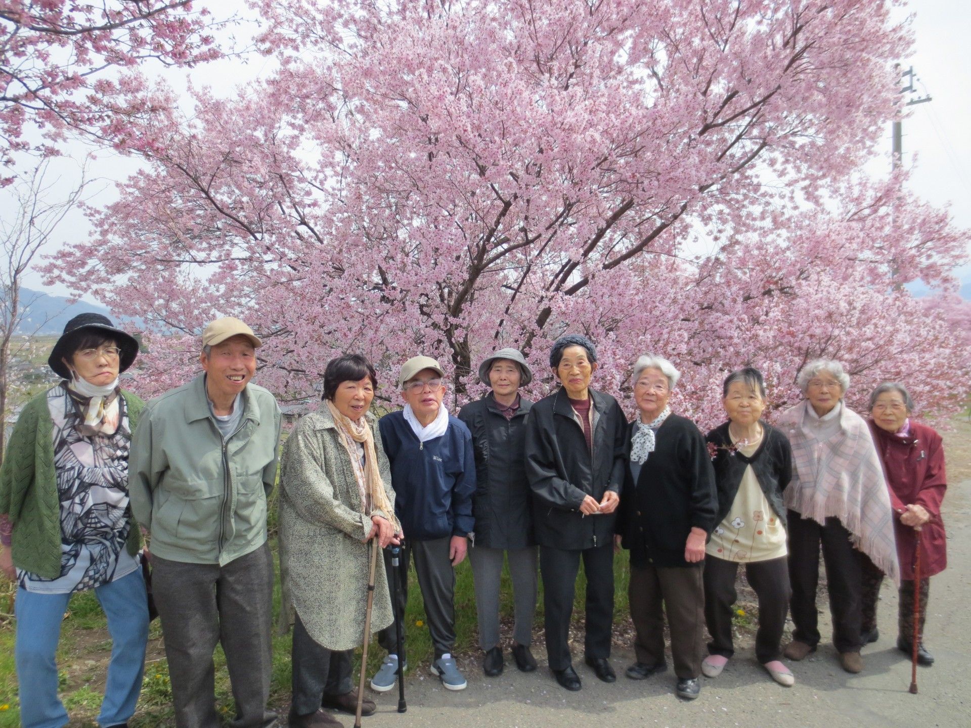 桜の下で笑顔の集合