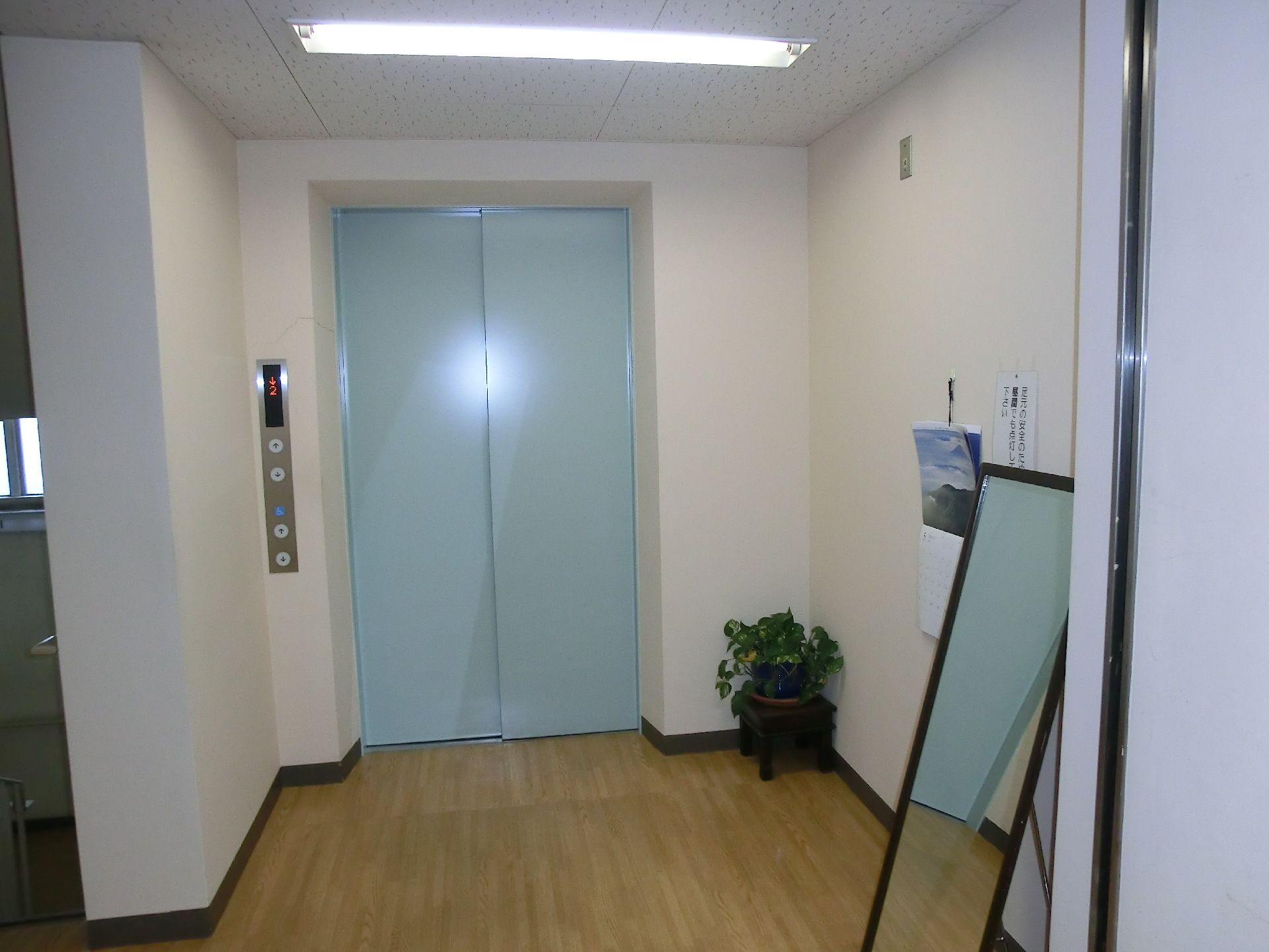 エレベーターはライトブルーの扉で壁は白。左側には操作ボタンがあり、右側には観葉植物が飾られている。