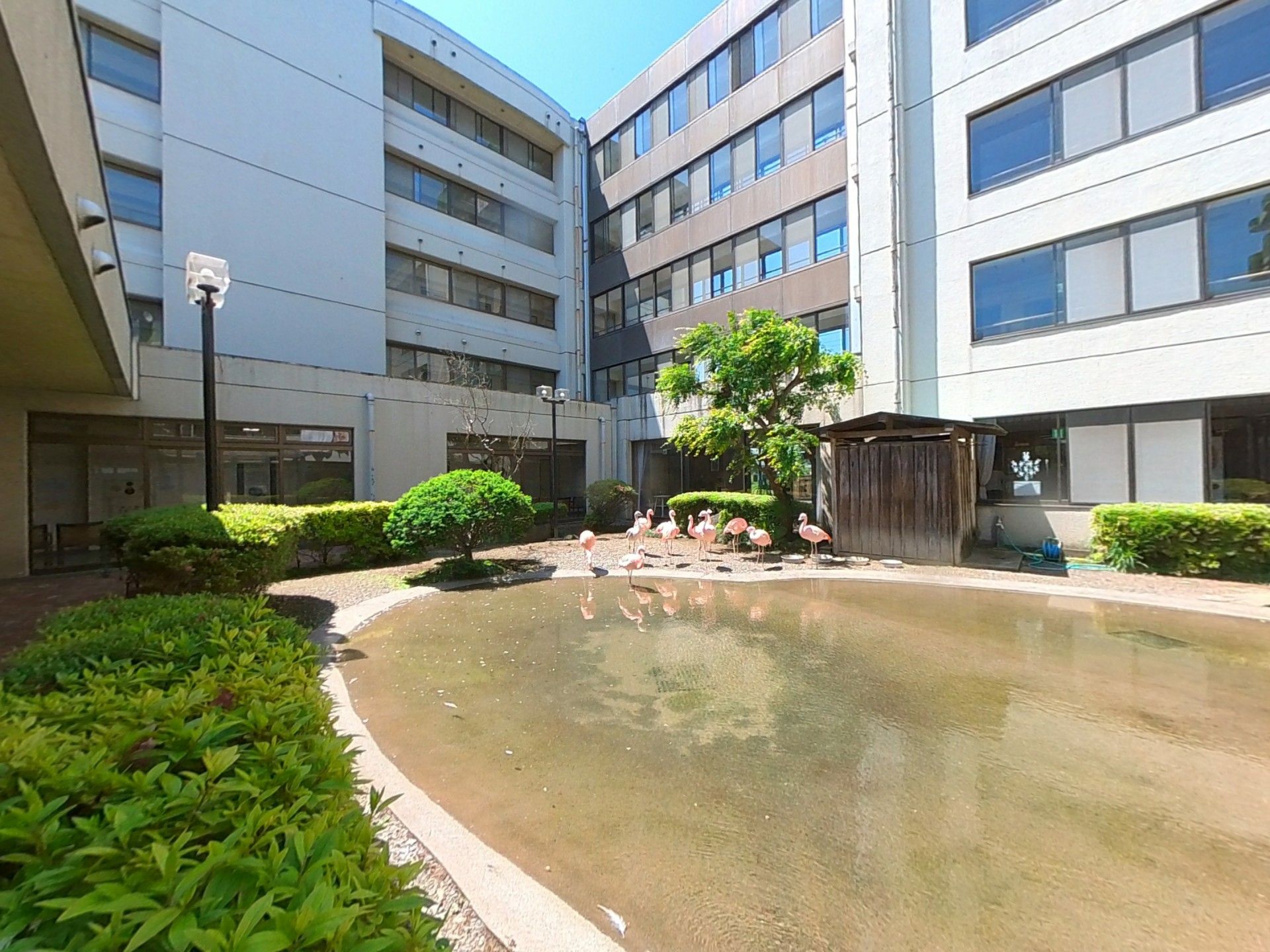 緑豊かな中庭風景