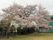 2階建ての建物の前には広い庭が広がっていて、庭の隅には大きな木が植えられている。
