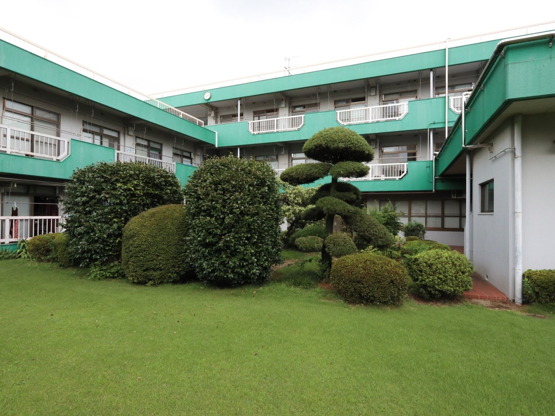 芝生が広がっているスペースに、コの字型の3階建ての建物がある。複数の木々が植えてあり、手入れが行き届いている。
