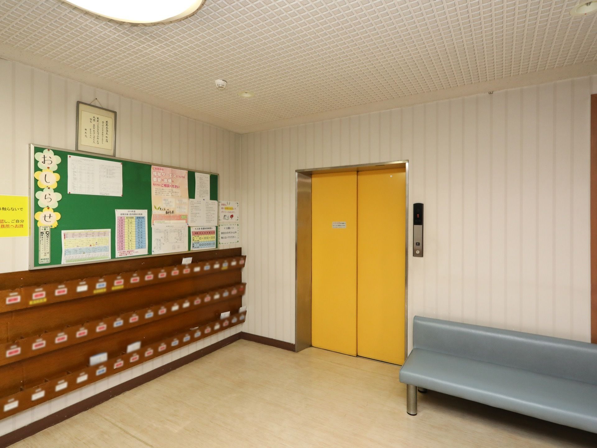 黄色い扉のエレベーターが設置されており、右側に水色のベンチが置いてある。左側の壁面には木製ラックが並んでいる。
