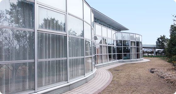 ガラス張りの明るい建物