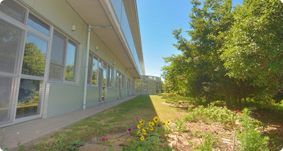 緑豊かな庭園の一角