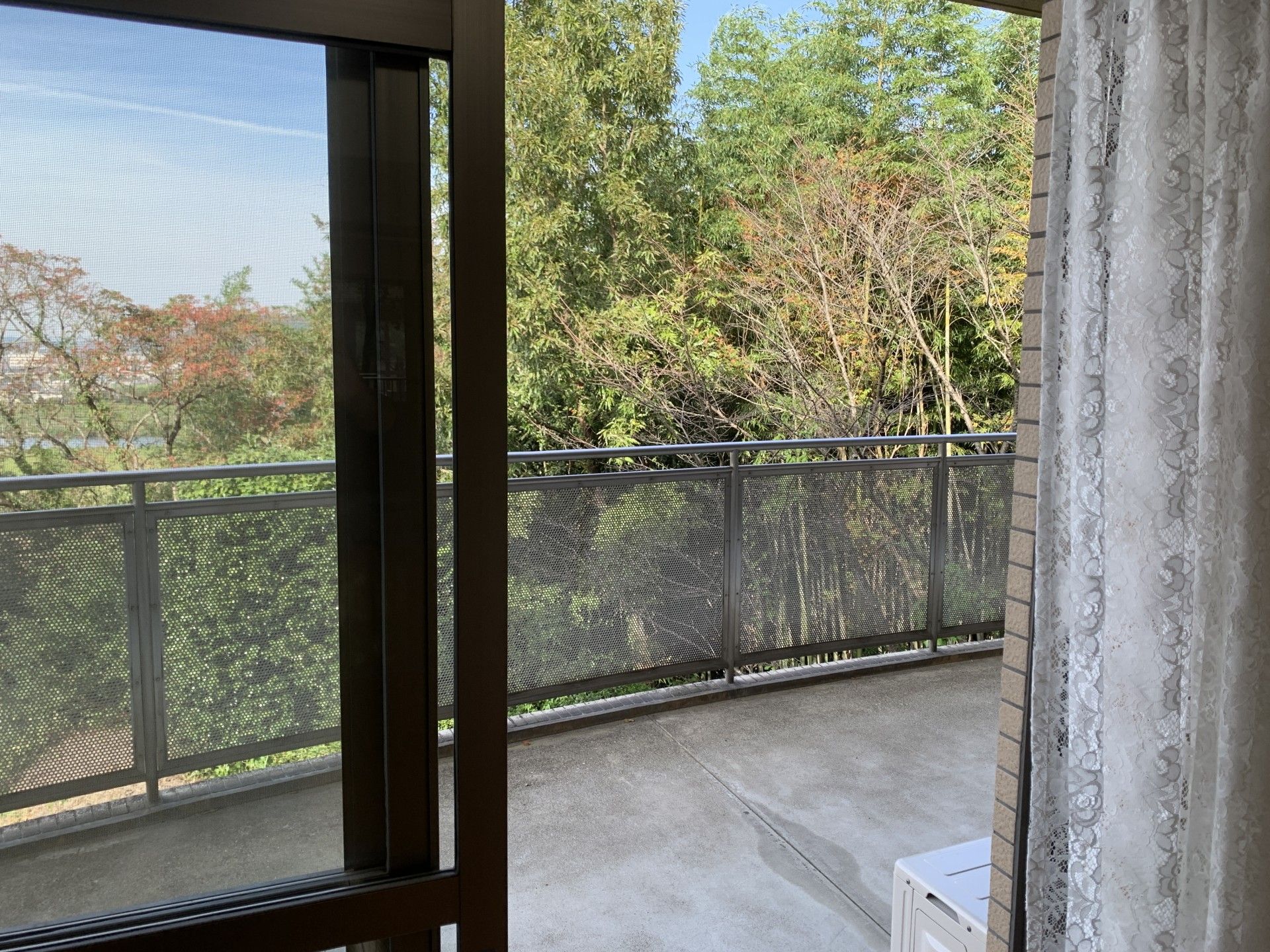 緑豊かなバルコニー