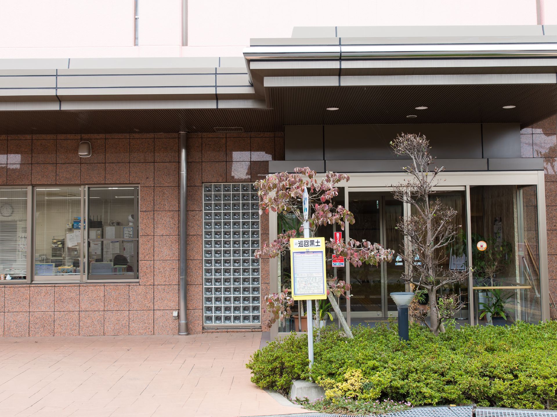 照明が設置された低木の植え込みから樹木が生えている玄関前