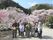 桜の花が満開でたくさんの見物客がいる中、記念撮影に応じる入居者たち。