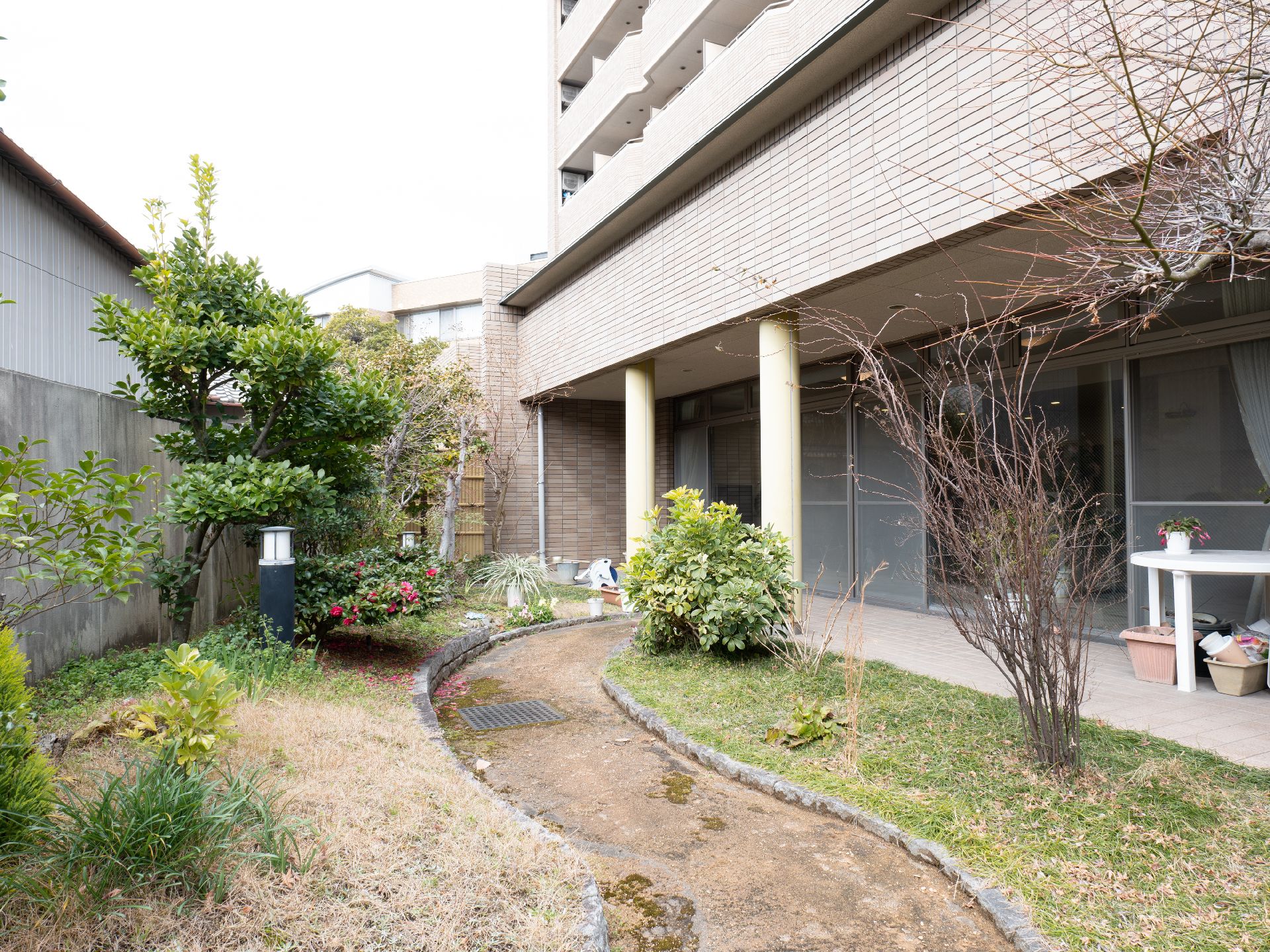植物や花がたくさん咲いている中庭