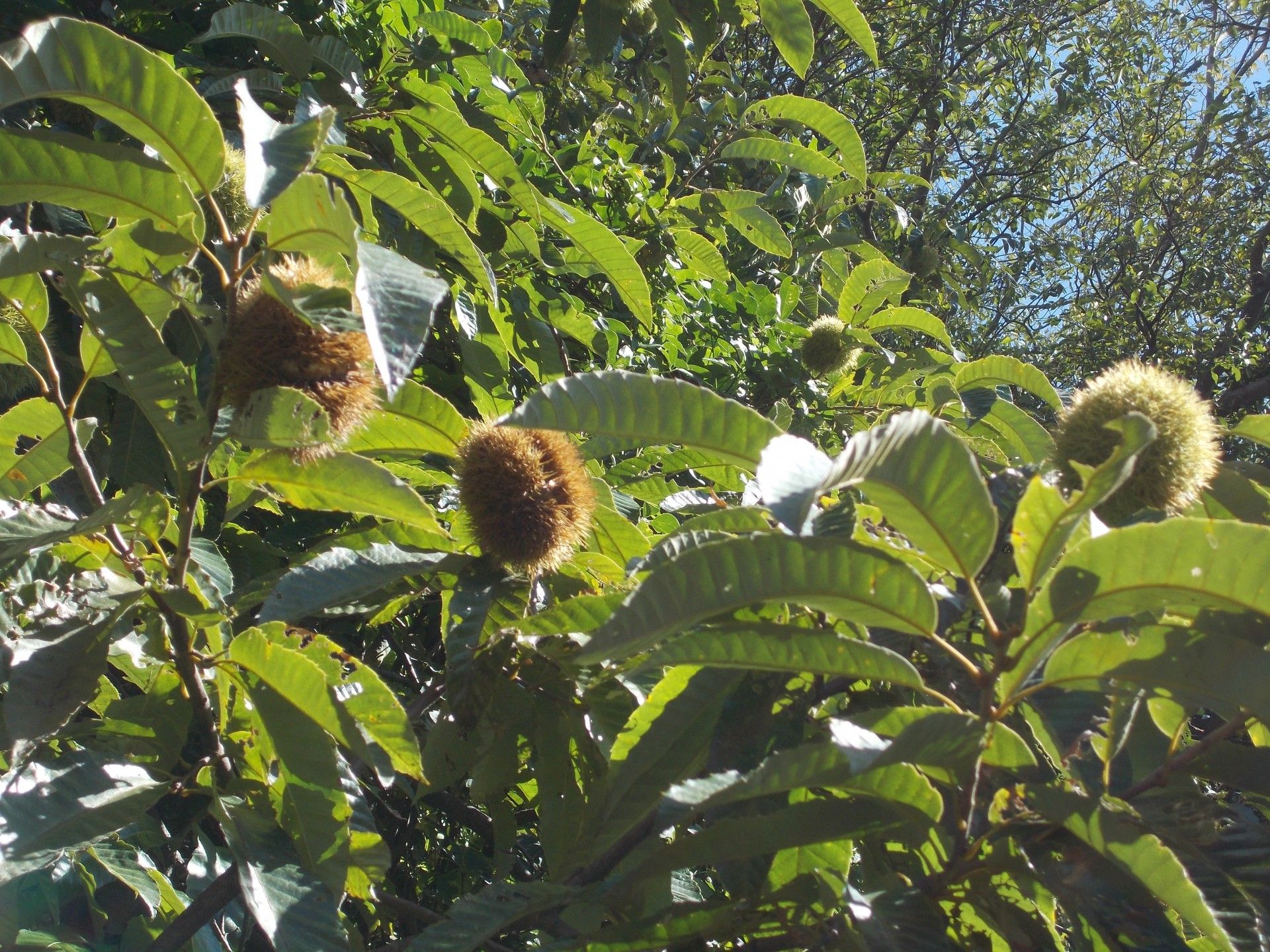 絵画や観葉植物が置かれた館内には、水色の応接セットやテーブルセットも置かれている。