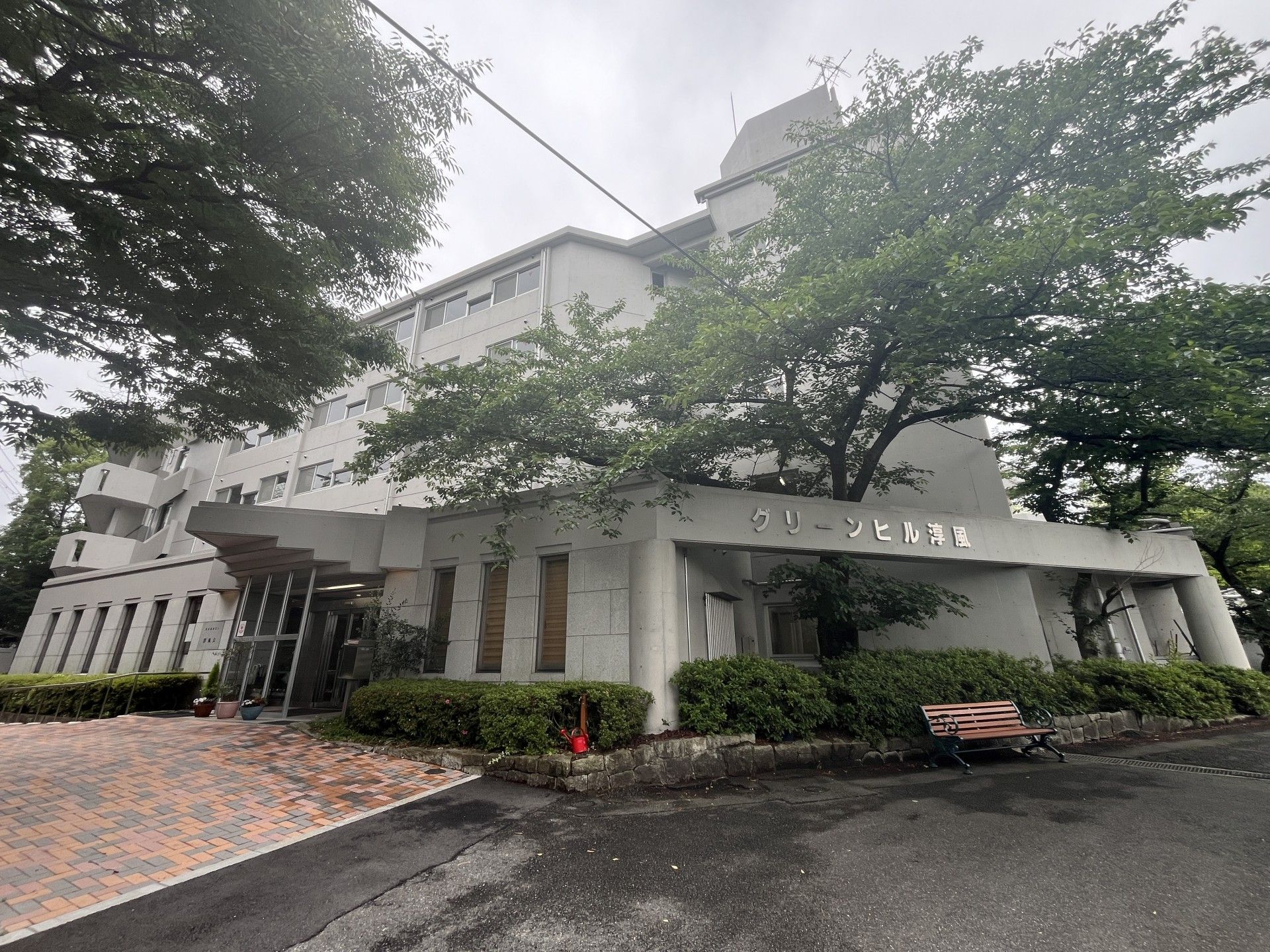 緑に囲まれた建物正面