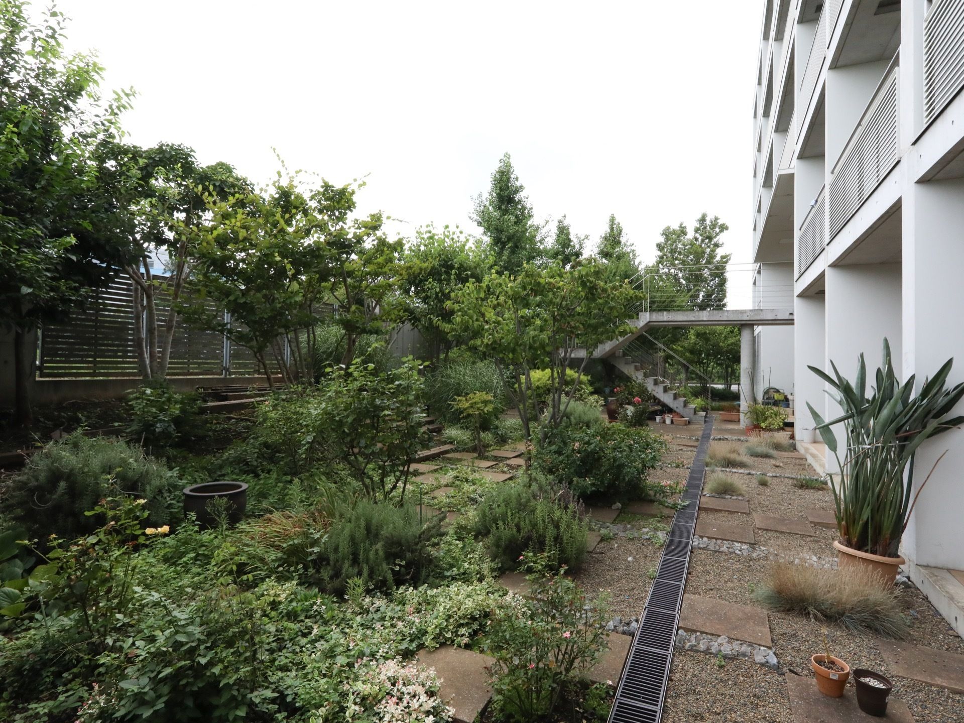 施設の敷地内には、さまざまな種類の植物が植えらた裏庭が設けられている。建物の２階部分に外階段がある。