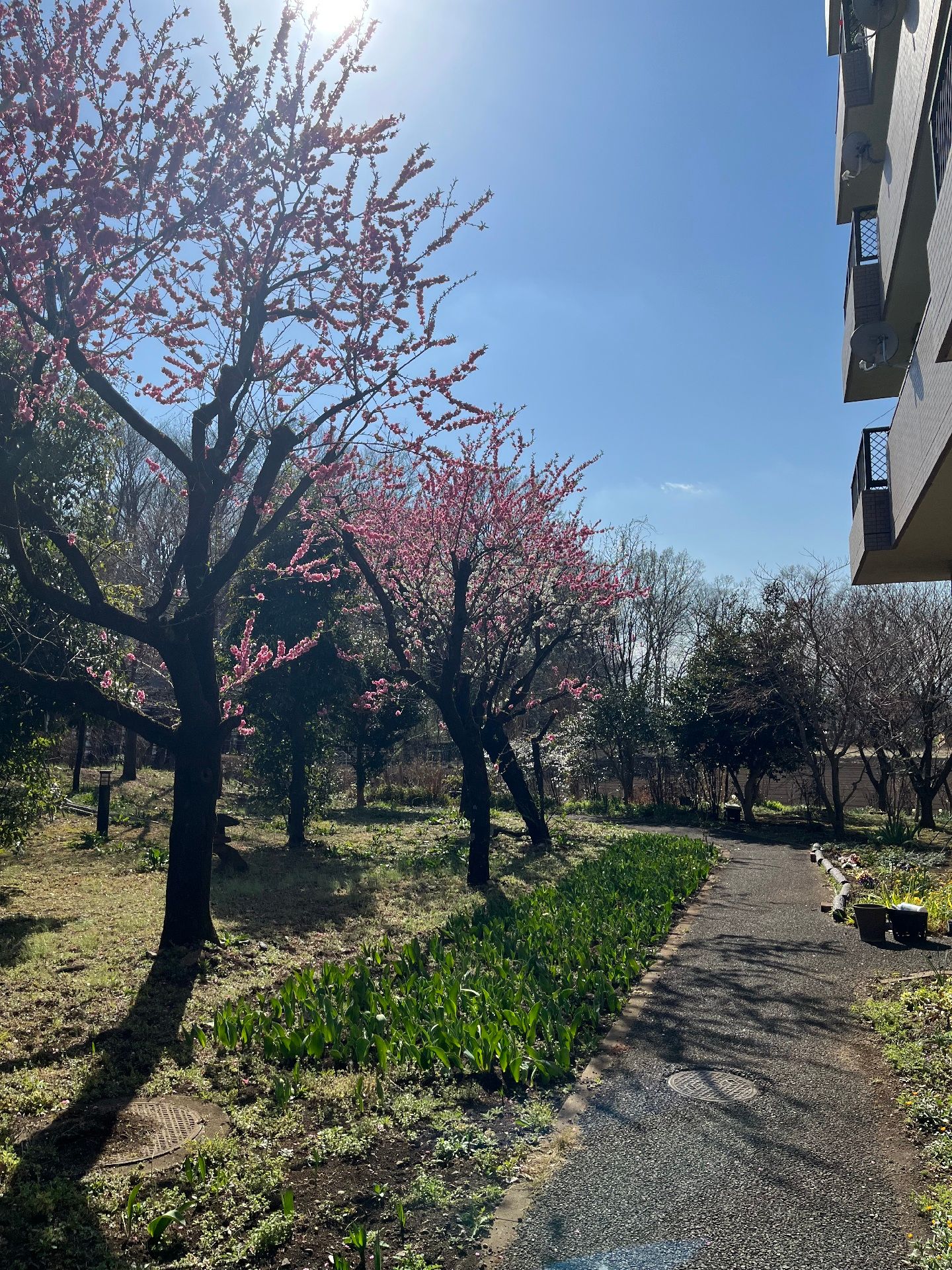 カルテのようなものを見せながら高齢女性と話しているピンクのエプロンを付けた若い女性スタッフ。