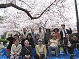桜の下で集う笑顔の方々