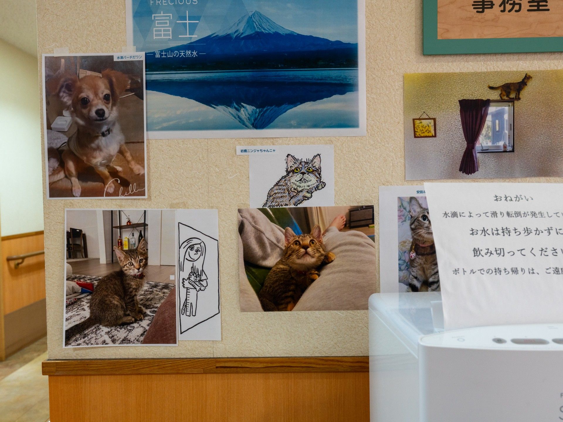動物の写真が飾られた壁