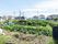 施設の近くに植えてある農作物
