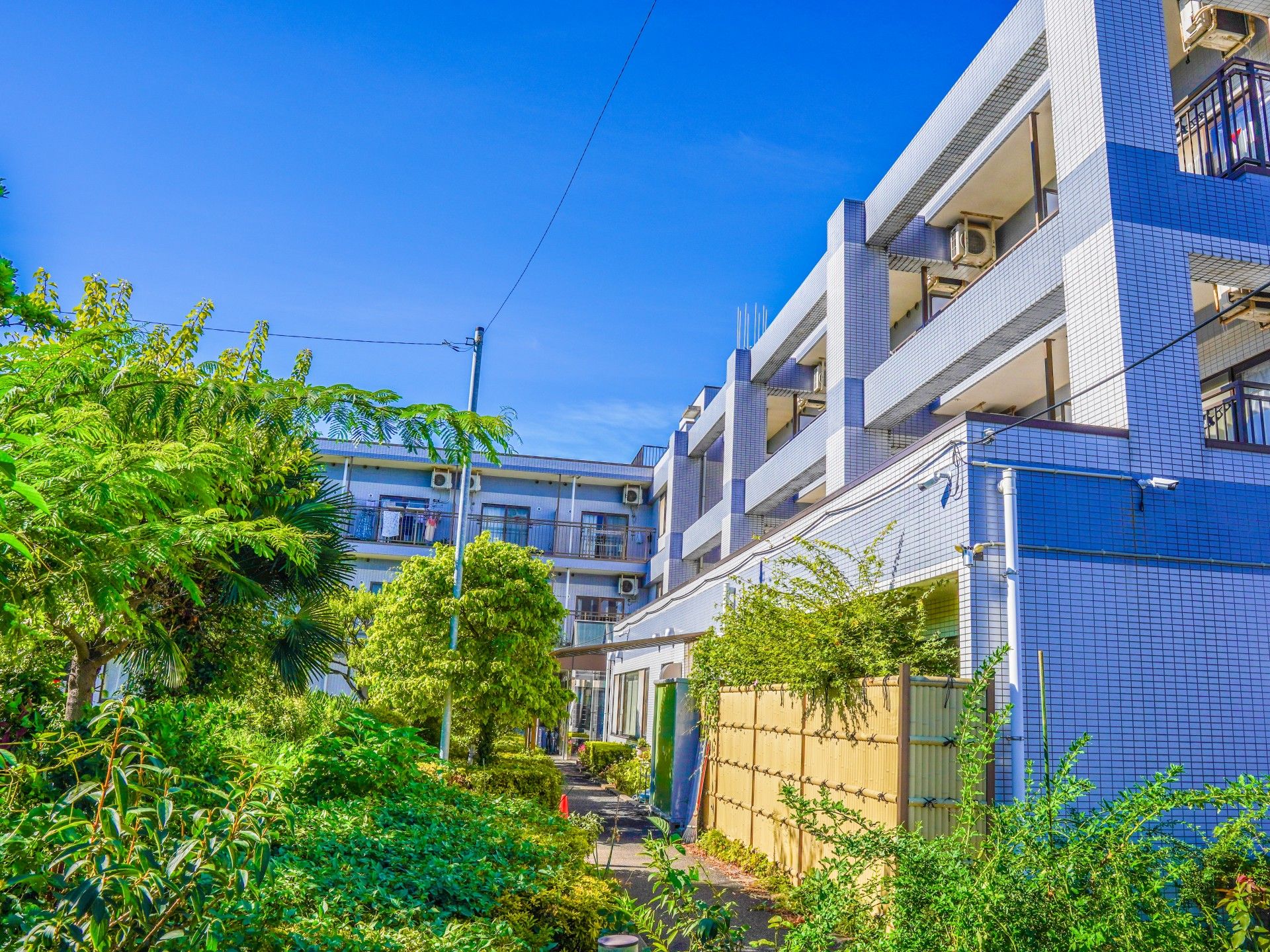 自然に囲まれた外観