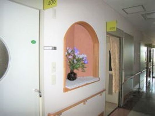 展示物