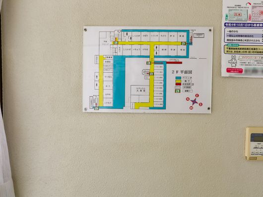 展示物