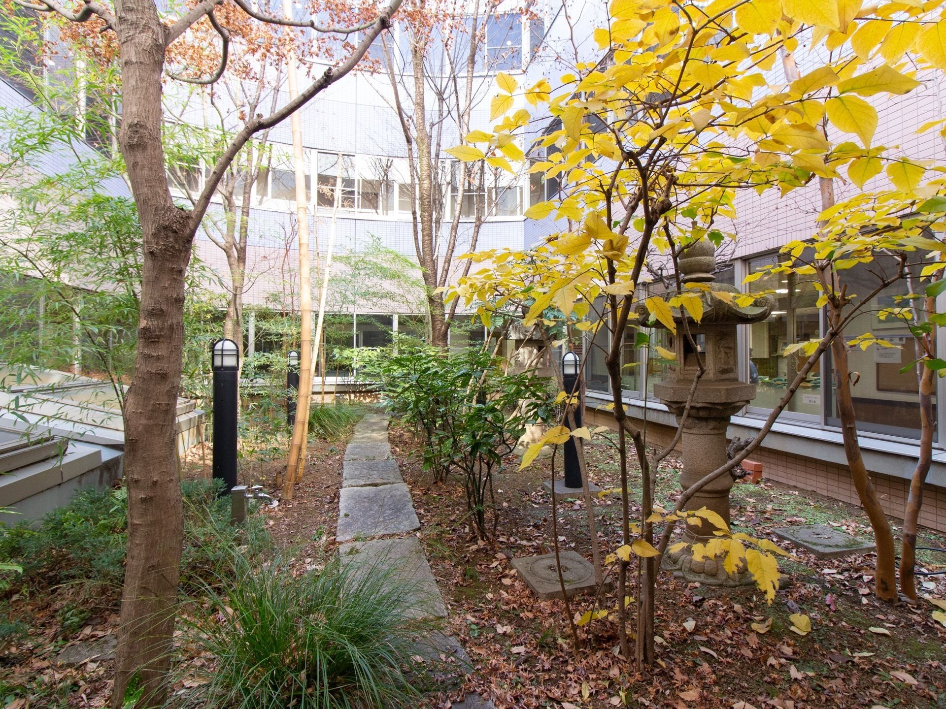 ３階建ての大きな建物に囲まれた中庭がある。背の高い樹木が植えられ、真ん中には石の小道が伸びている。石灯籠やライトが置かれている。