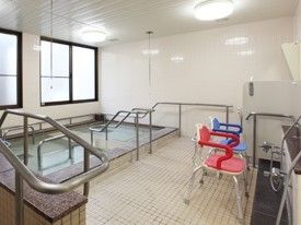 手すりが取り付けてある大きめの浴槽と手前のシャワースペースの様子