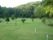 緑豊かな庭園