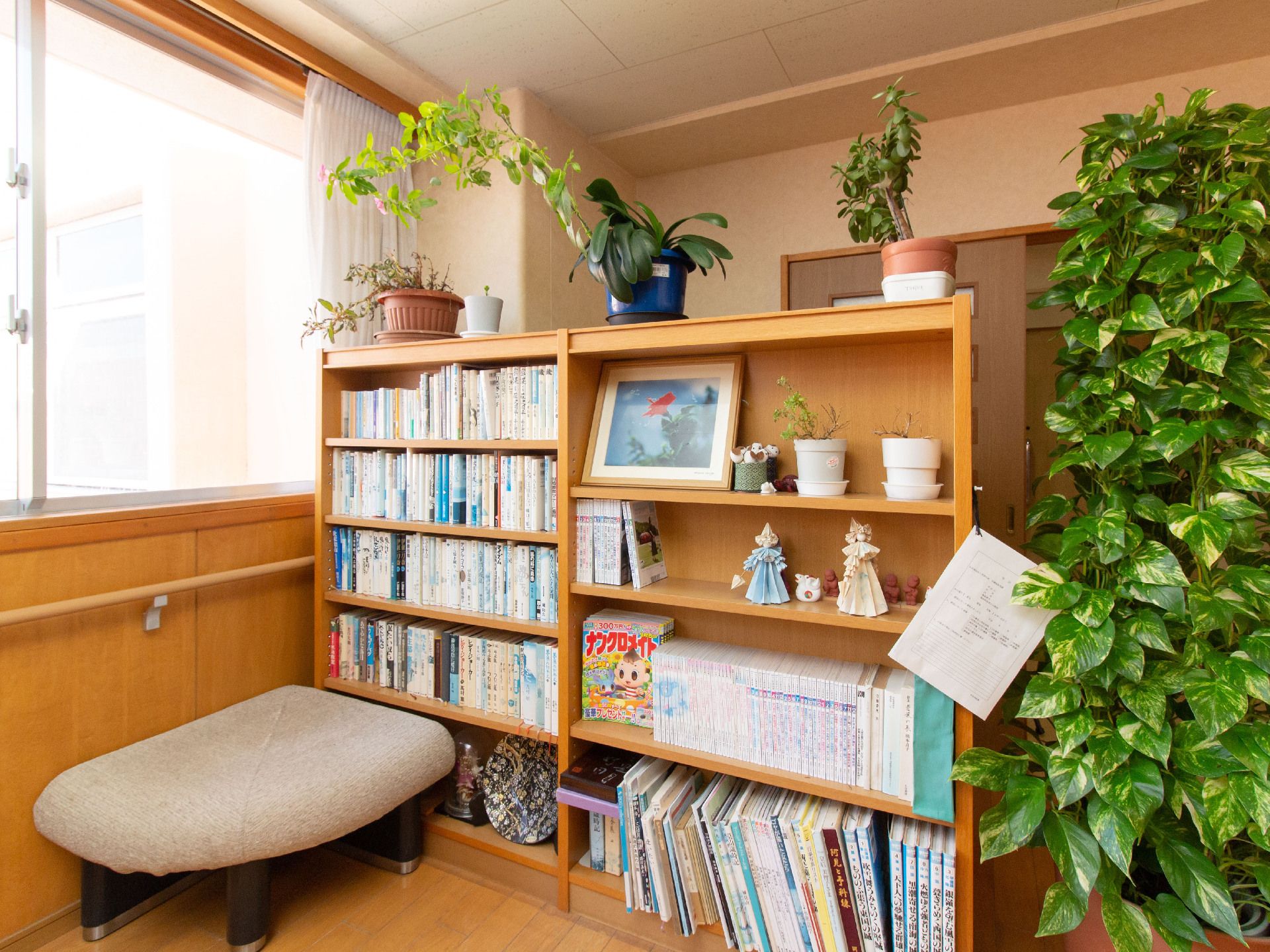 右側に背の高い観葉植物が置かれている、たくさんの本が収納された本棚