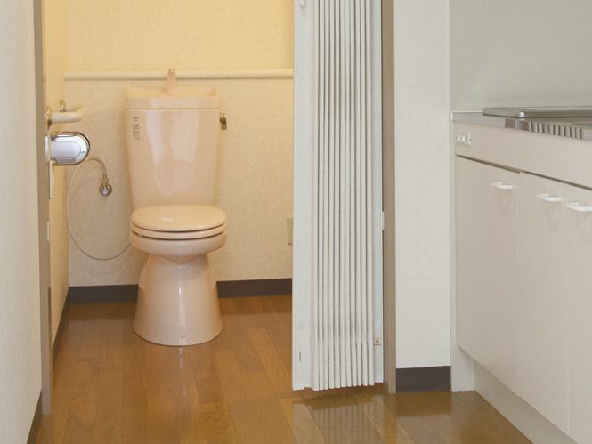 アコーディオンカーテンが付いたトイレはシンプルなデザイン。壁にはトイレットペーパーホルダーがある。