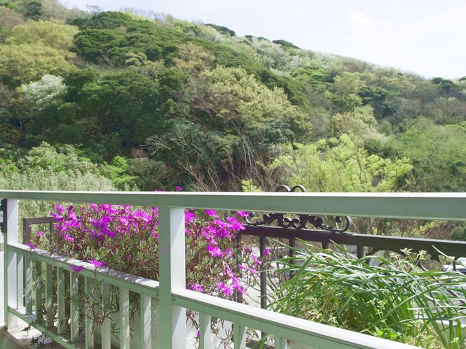 ベランダには花壇があり、紫の花が咲いている。周辺には山があり、たくさんの木が見える。