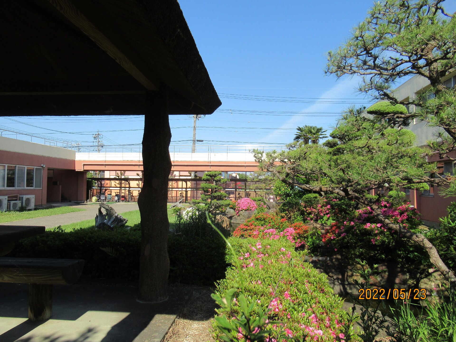 ピンクの花がたくさん咲いている敷地内にある中庭には、東屋のようなものも建っている。