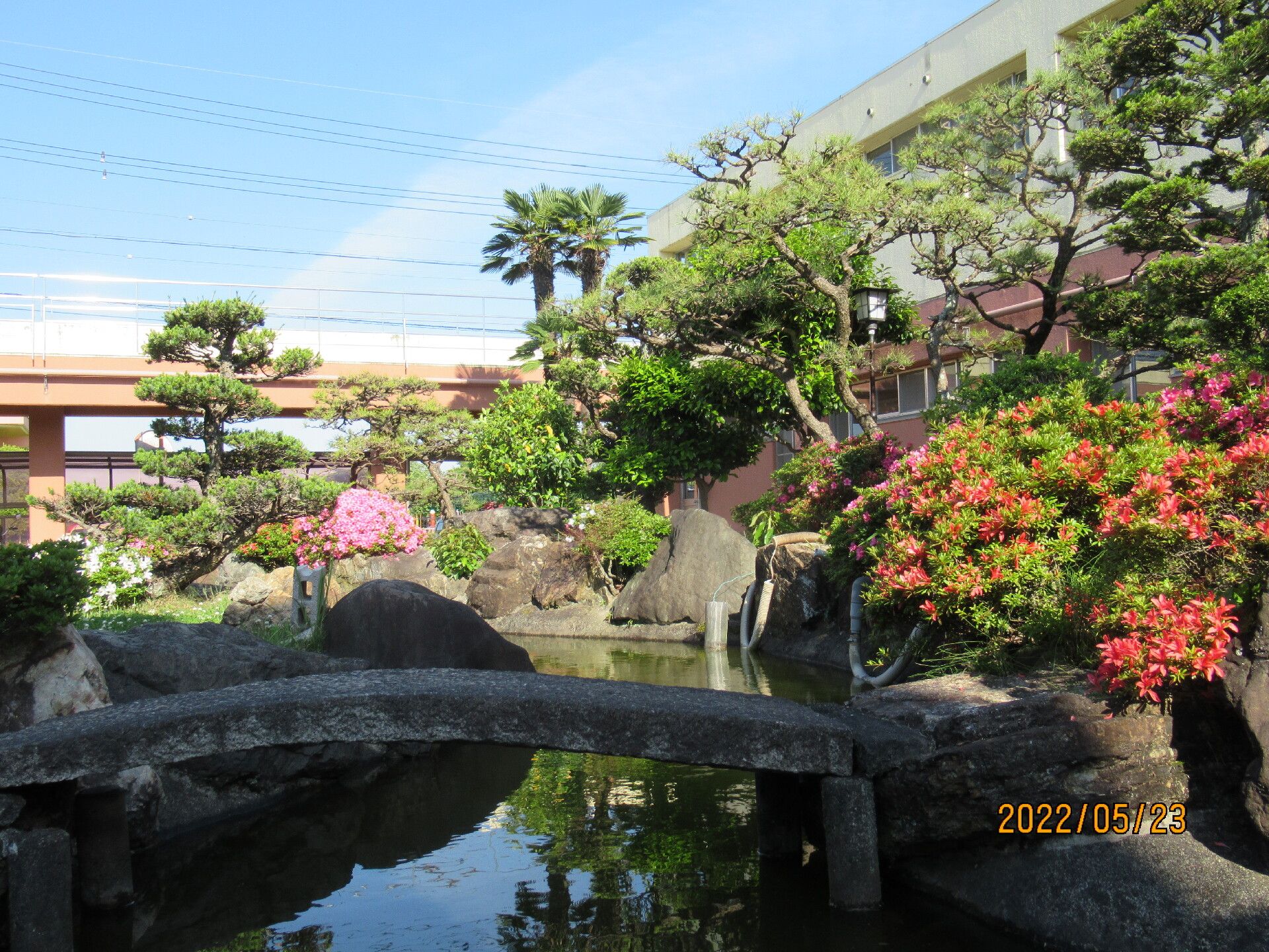 大きな池には石の橋が架かり、赤やピンクの花が咲いている庭、その奥には白を基調とした建物がある。