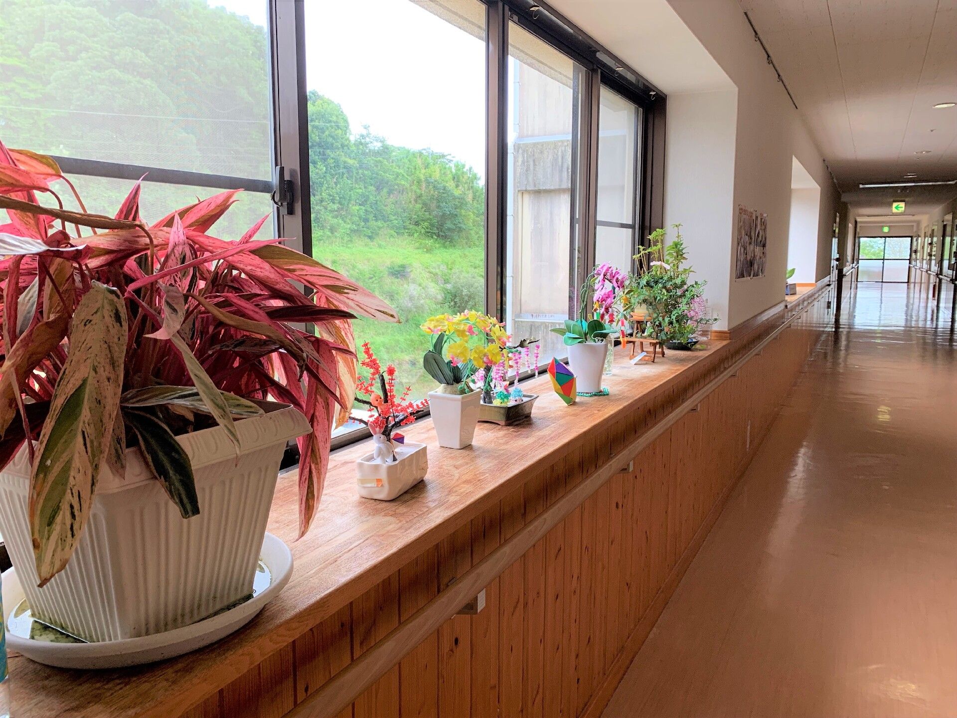 まっすぐな廊下には手すりが付き、窓際にある棚の上には様々な種類の花や植物の鉢植えが置かれている。