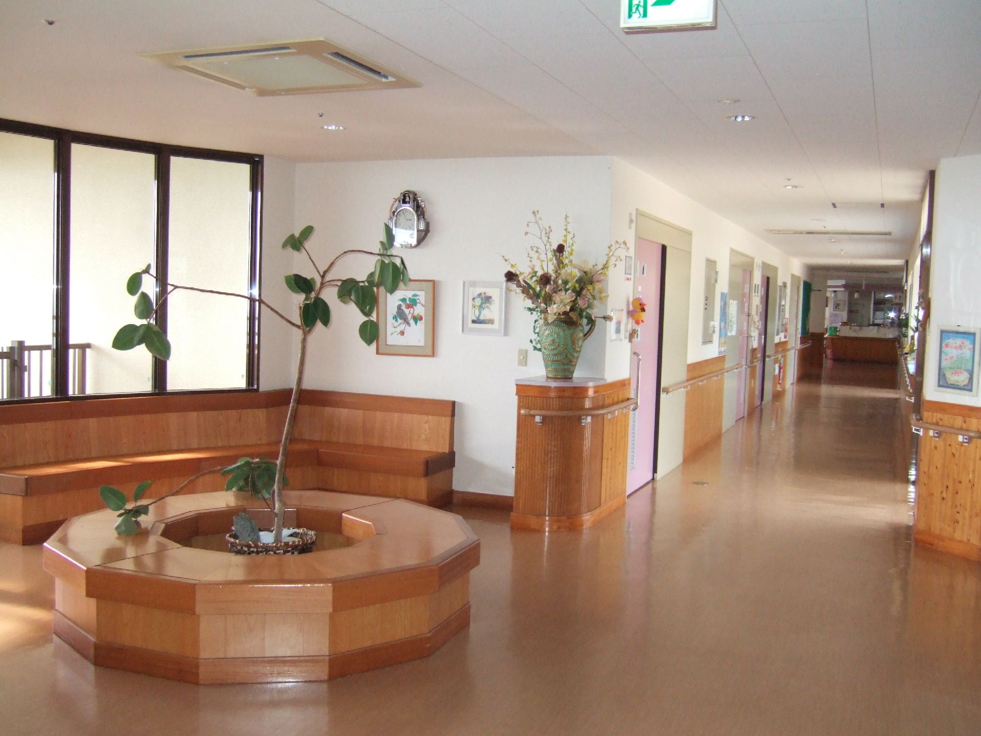 花や木が飾られた明るい館内。廊下はまっすぐで手すりが付き、窓のそばには木製のベンチがある。