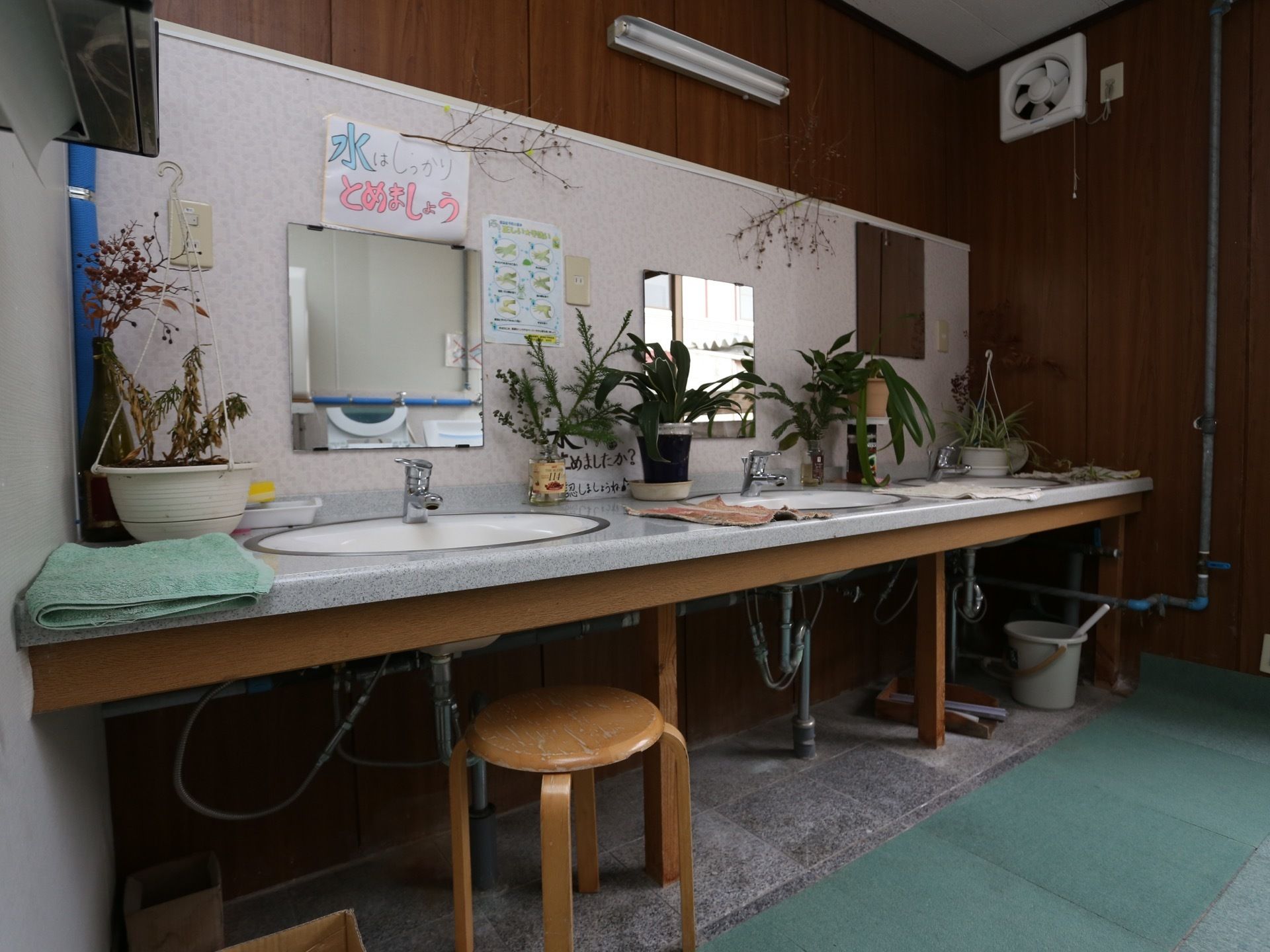 ２つ並んだ洗面カウンターが設置されている。壁に鏡が取り付けられていて、カウンターの上には観葉植物が飾られている。