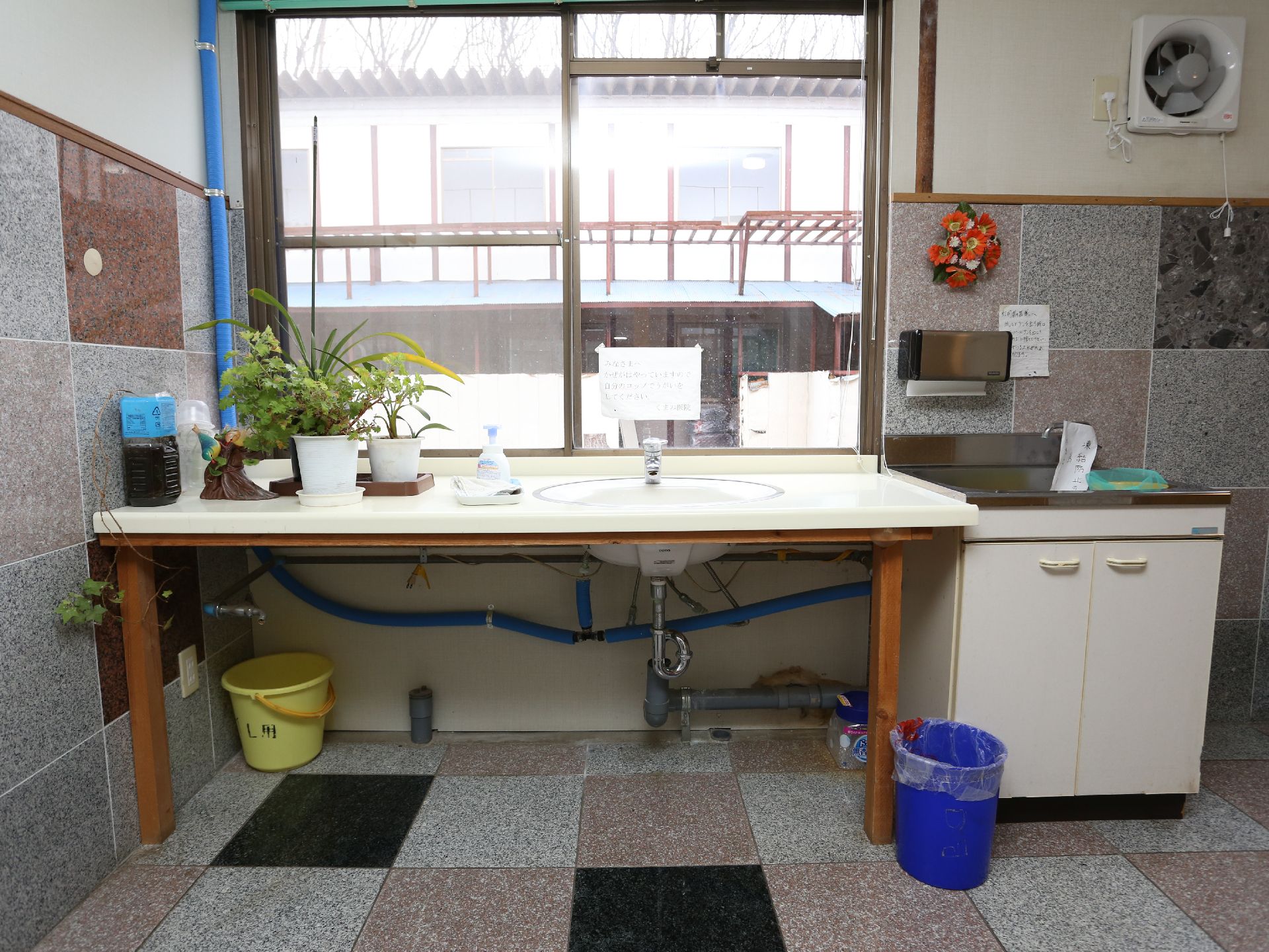 ハンドソープのボトルや観葉植物が置かれている洗面台