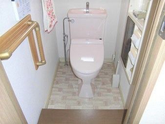 ピンクのトイレの右側にはトイレットペーパーホルダーが付き、左側には手すりやタオル掛け、操作パネルがある。