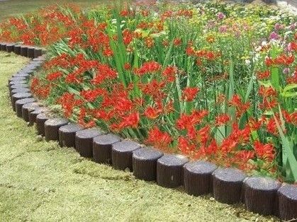 中庭で何かを育てている様子。手間に芝生が敷き積まれている
