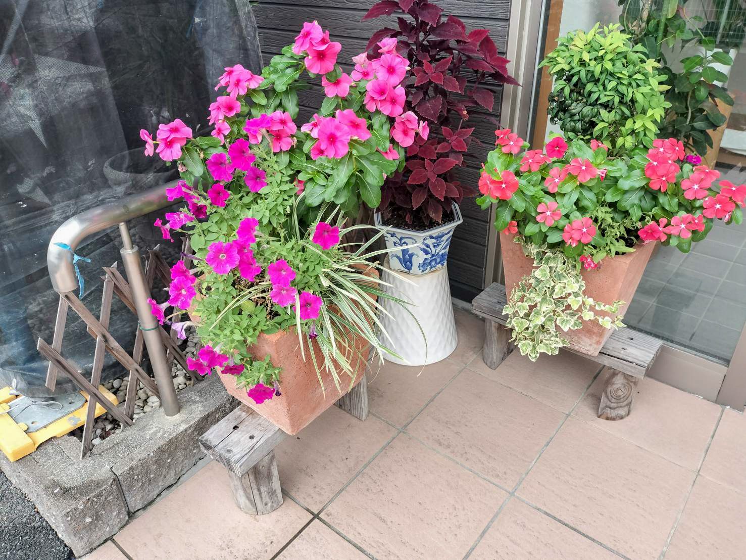 玄関にある花