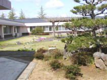 緑豊かな庭園風景