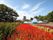 サルビアの花がたくさん咲いた公園。中央には噴水があり、緑に囲まれている。