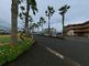 緑豊かな敷地の風景