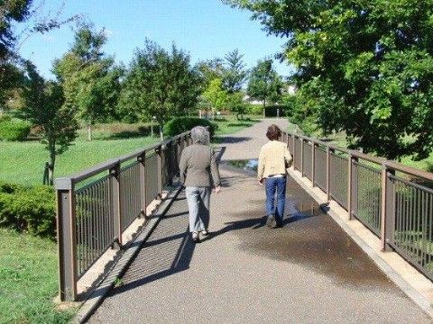 木々の緑が映える自然豊かな公園の中を散歩される入居者様の様子である。施設ではいつでも好きな時間に散歩を楽しむことができる。