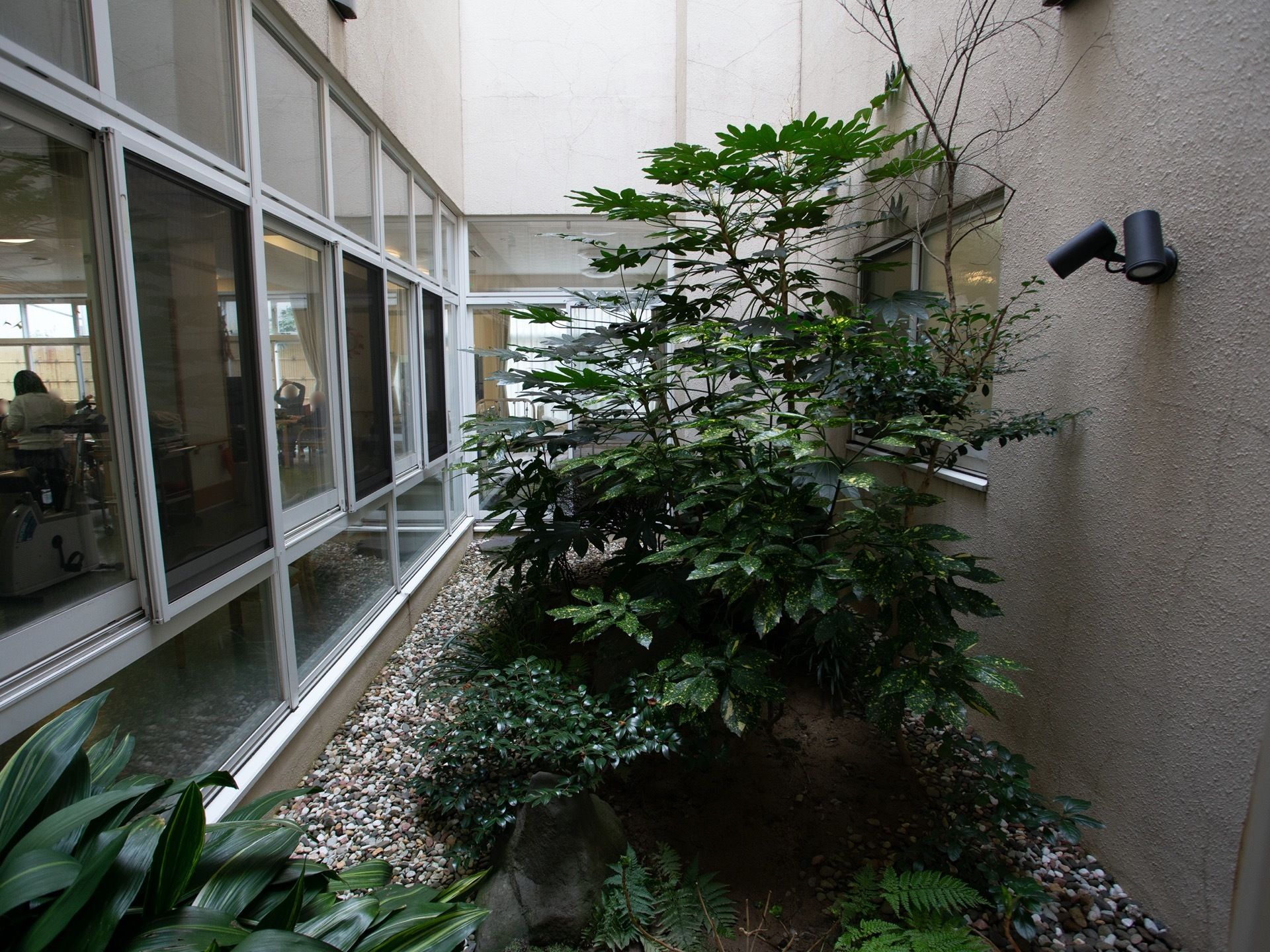 趣のある植物を植えている中庭。大きめの砂利が敷かれており、大きな岩などが置かれた和風な雰囲気となっている。