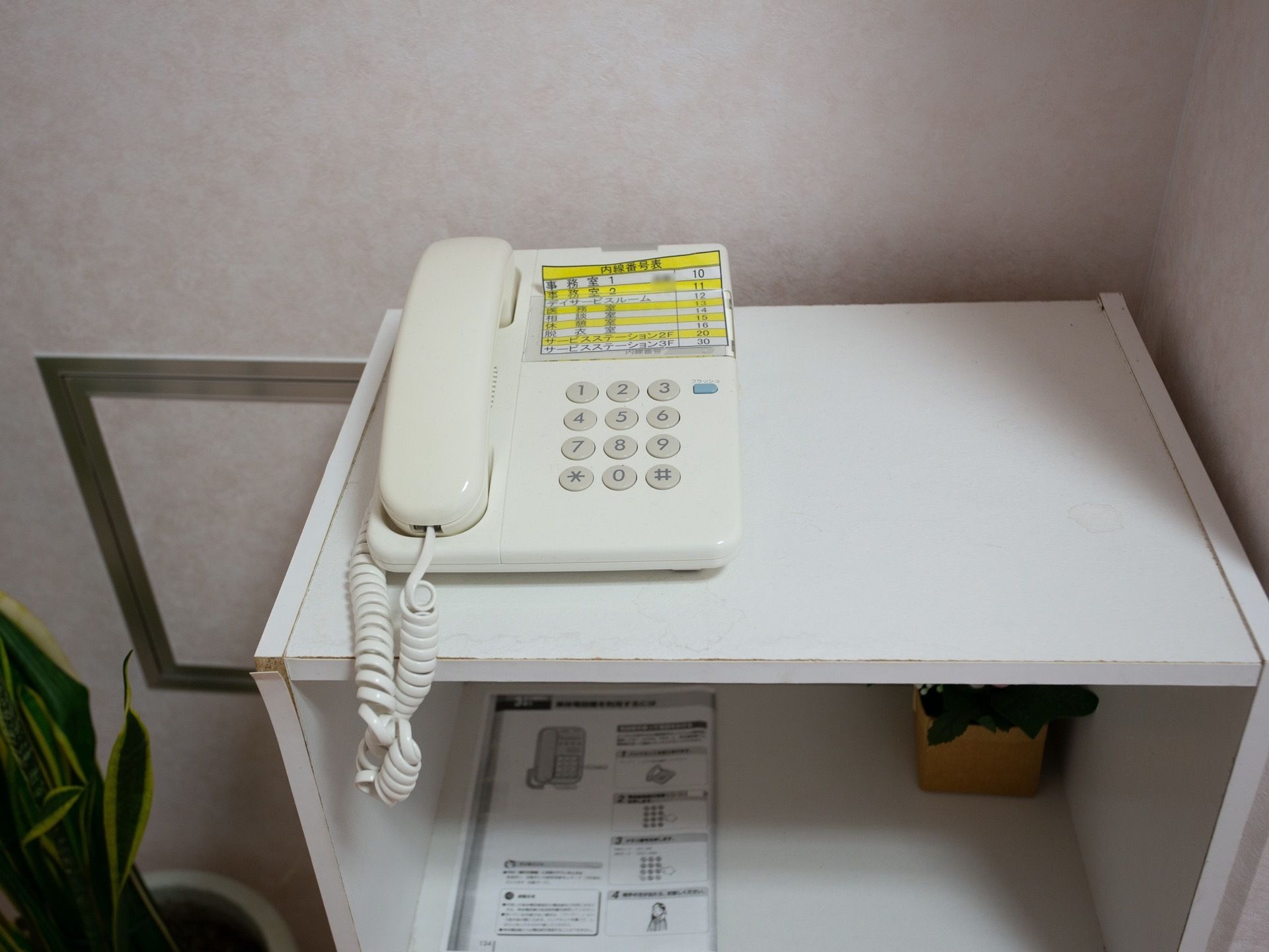壁際に白いカラーボックスがあり、その上に内線用の電話機が設置されている。横には観葉植物も飾られている。