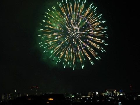 「ヒルデモア世田谷岡本」の多摩川花火大会。綺麗な色の花火を飛ばす。