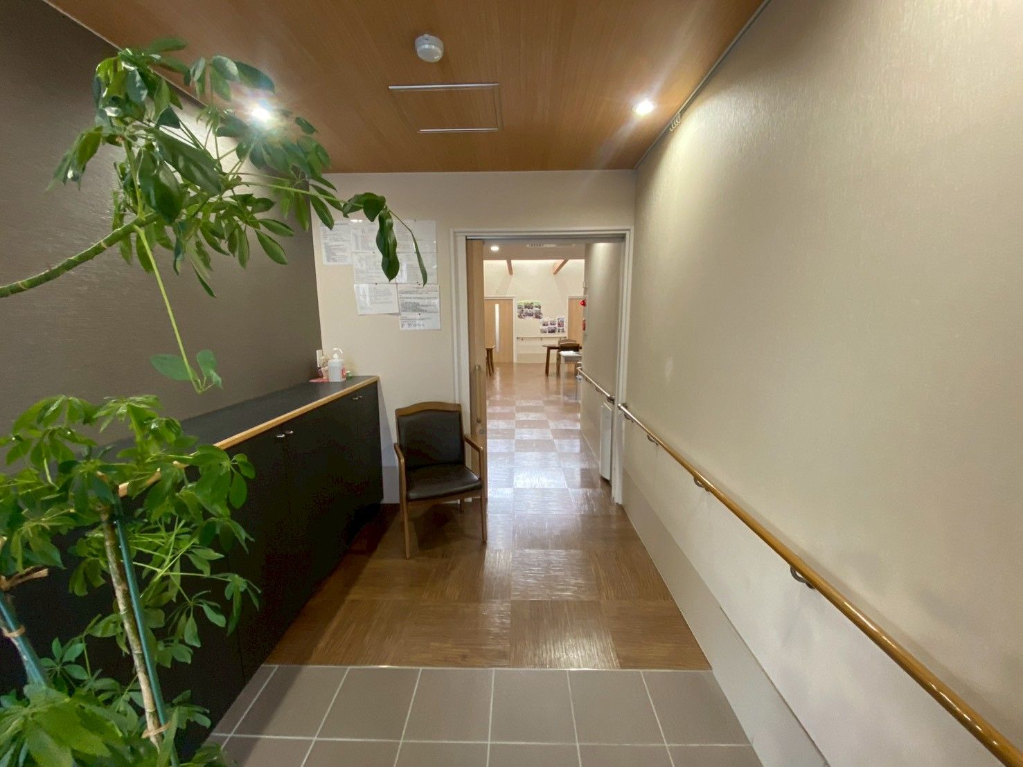 廊下の手すりと植物