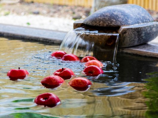 お楽しみの変わり湯