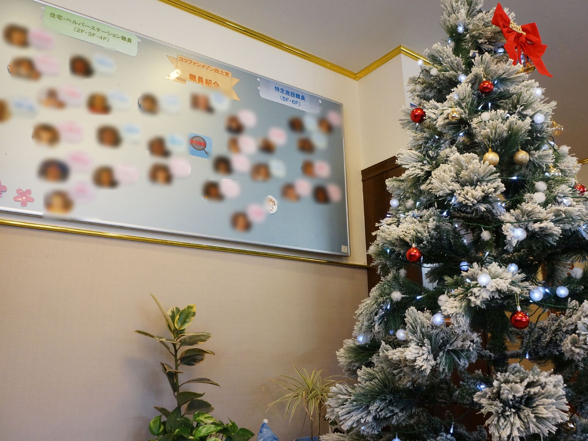 クリスマスツリーを飾り季節感を大切にしている。入居者様や来訪者様にわかりやすいように職員の顔写真を貼っている。