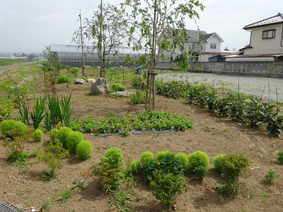 広い農園には野菜だけでなく、草木も植えられている。周りには民家も点在していてのどかな風景。